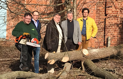 5 Männer stehen vor einem gerade gefällten Baum